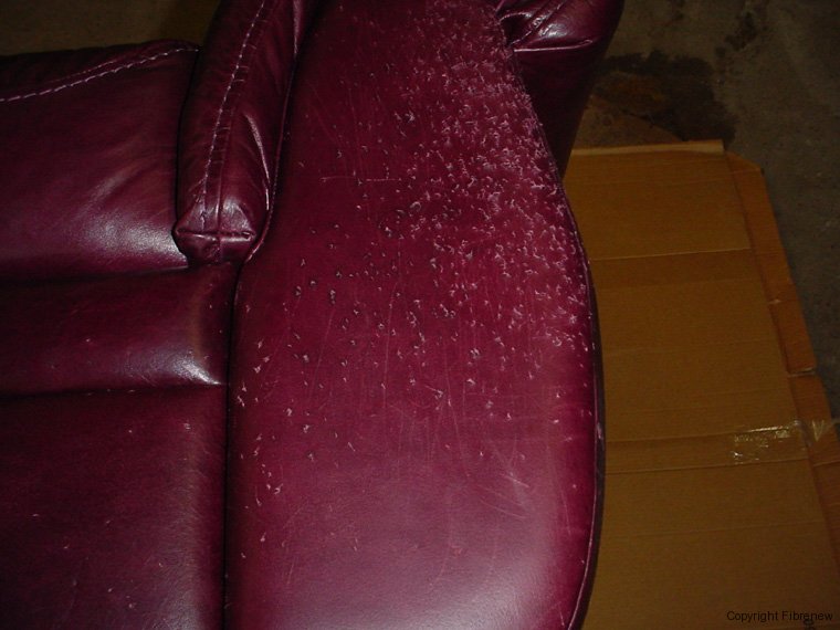 How To Remove Scratches From Leather Sofa