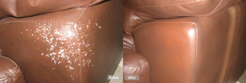 cat-scratches-leather-couch.jpg